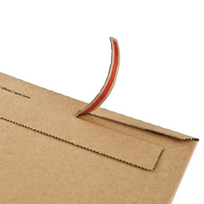 4033657100102-Pochette d'expédition adhésive - 15 cm x 25 cm - kraft - Logistipack--3