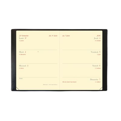 3371010389674-Agenda de poche Soho Miniweek - - 1 semaine sur 2 pages - 7 x 10 cm - kaki - Quo Vadis--1