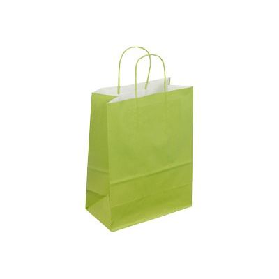 3760028772767-50 Sacs cadeau kraft - poignées torsadées - 22 cm x 12 cm x 31 cm - vert-Angle gauche-0