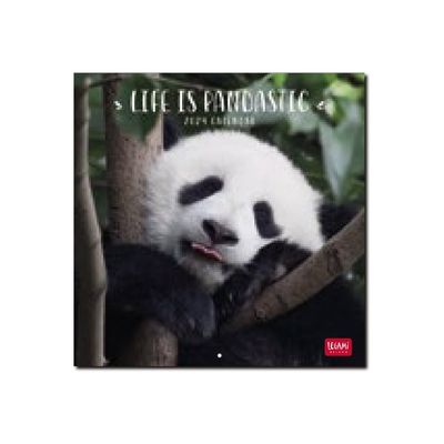8051128759877-Legami - Calendrier mensuel 2024 - 18 x 18 cm - life is pandastic -Avant-0