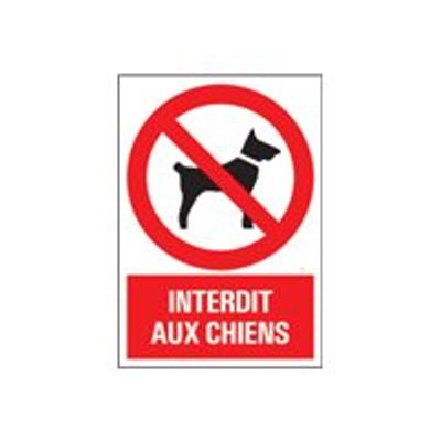 8711234129161-Pickup - Panneau Interdit aux chiens - 230 x 330 mm-Avant-0