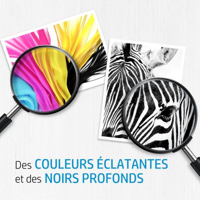 195161166969-HP 305 - Pack de 2 - noir et 3 couleurs - cartouche d'encre originale (6ZD17AE)--1