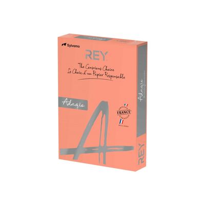3368220105484-Rey Adagio - Papier couleur - A3 (297 x 420 mm) - 80 g/m² - Ramette de 500 feuilles - necta-Angle droit-0
