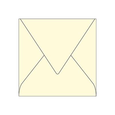3329680543803-Pollen - 20 Enveloppes - 140 x 140 mm - 120 g/m² - ivoire-Avant-0