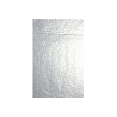 3329683937760-Clairefontaine - 4 feuilles pliées de papier de soie - 50 x 75 cm - argent métallisé-Avant-0