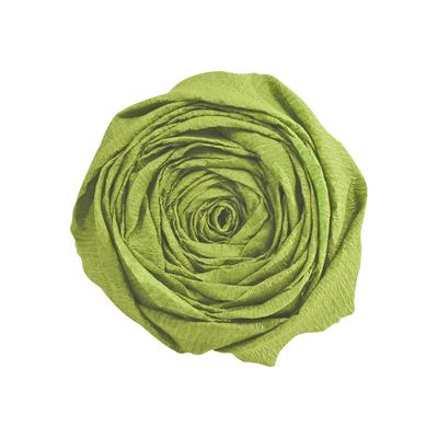 3329680951554-Clairefontaine - papier - Rouleau (50 cm x 2,5 m) - vert mousse - papier crépon-Avant-0