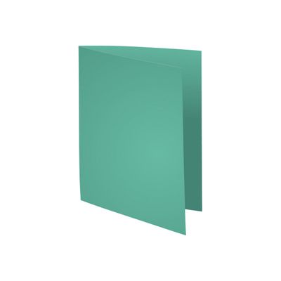 3288583300046-Exacompta Super 210 - 100 Chemises - 210 gr - vert pâle-Angle droit-0