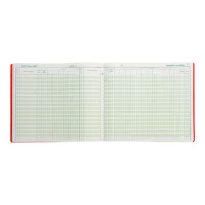 3130632068004-Exacompta - Journal de caisse ou banque - 19 colonnes : 13 débits/6 crédits - 27 x 32 cm horizon-Avant-1