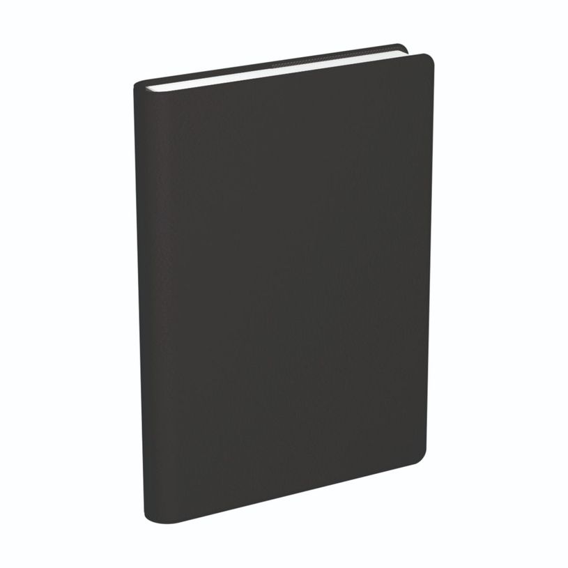 3147281941305-Agenda Lecas Classique - 1 jour par page - 12 x 18 cm - différents modèles disponibles-P_94130_2-0