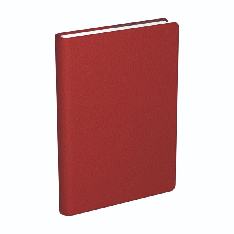 3147281941305-Agenda Lecas Classique - 1 jour par page - 12 x 18 cm - différents modèles disponibles-P_94130_6-4