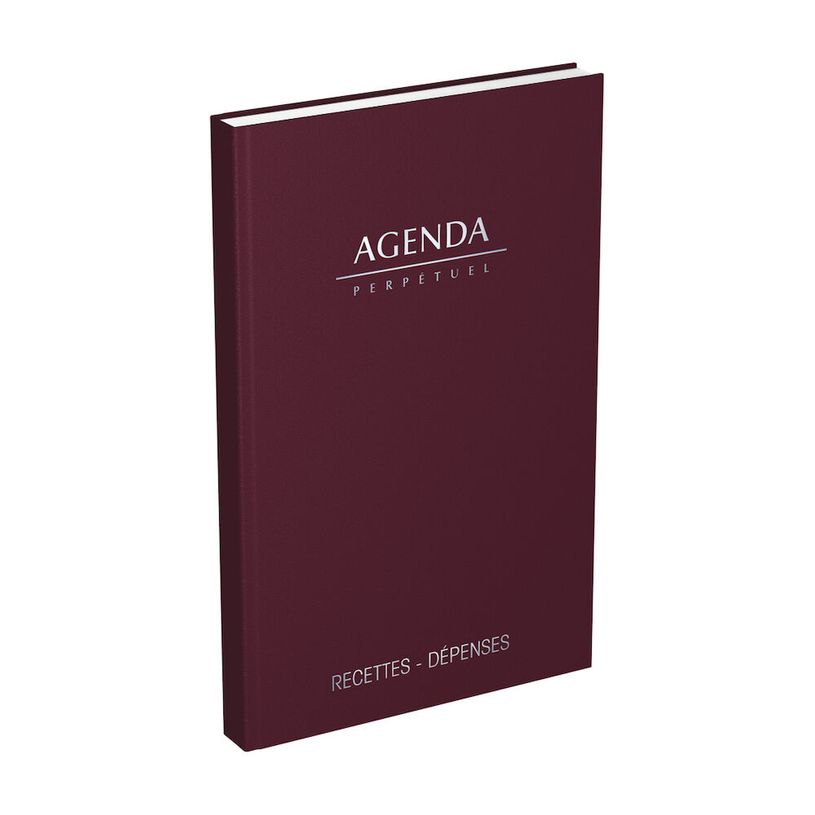3147280114496-Agenda perpétuel Lecas Recettes-Dépenses - 1 jour par page - 14 x 22 cm - disponible dan-P_400009513_2-1