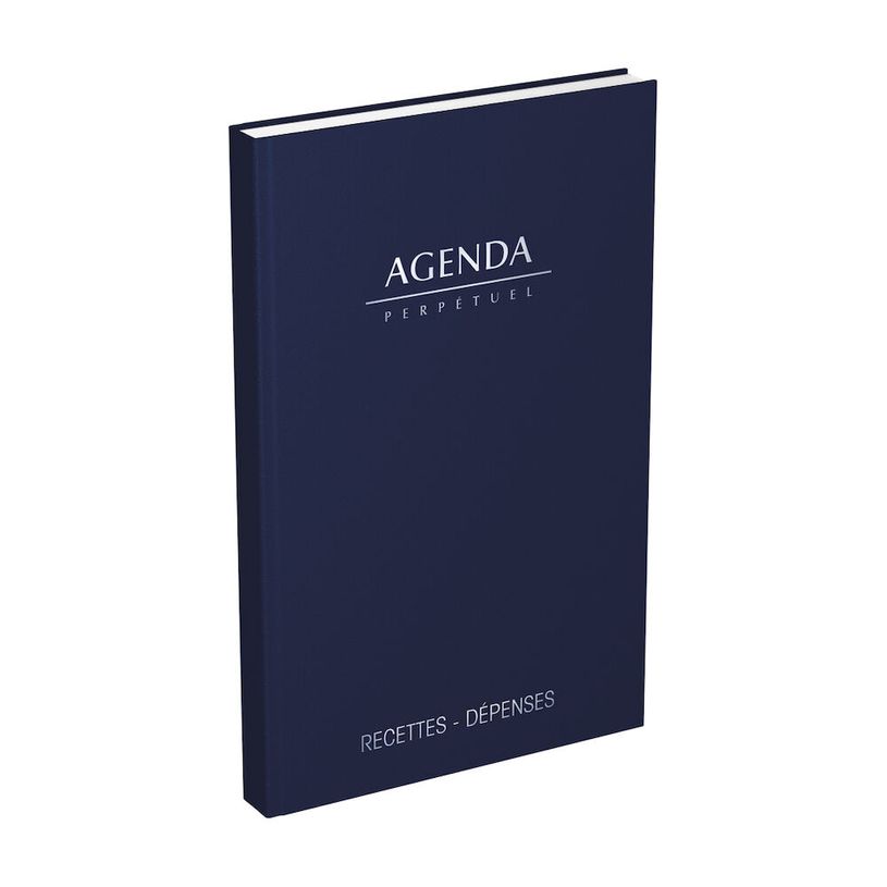 3147280114496-Agenda perpétuel Lecas Recettes-Dépenses - 1 jour par page - 14 x 22 cm - disponible dan-P_400009513_3-2