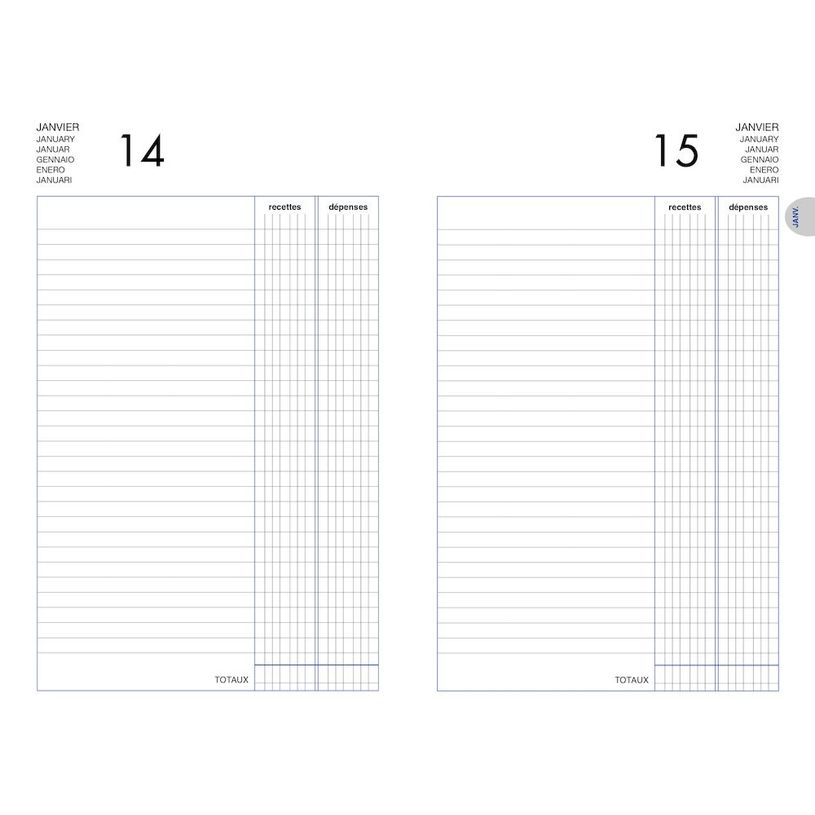 3147280114496-Agenda perpétuel Lecas Recettes-Dépenses - 1 jour par page - 14 x 22 cm - disponible dan-P_400009513_6-5