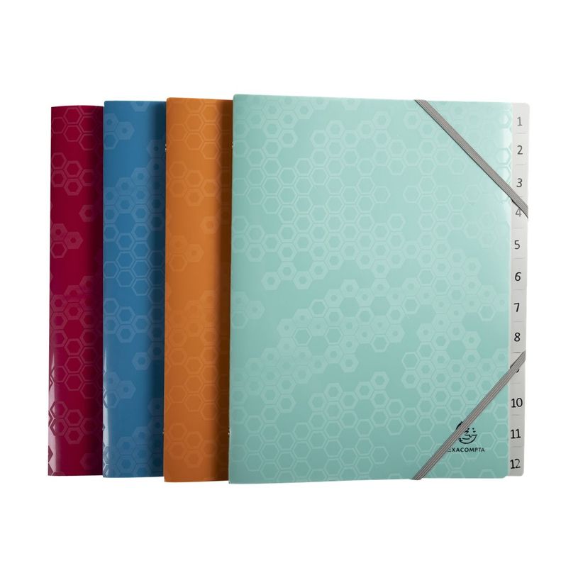 3130630583103-Exacompta MAÏA - Trieur 12 positions - disponible dans différentes couleurs-P_405117638_6-0