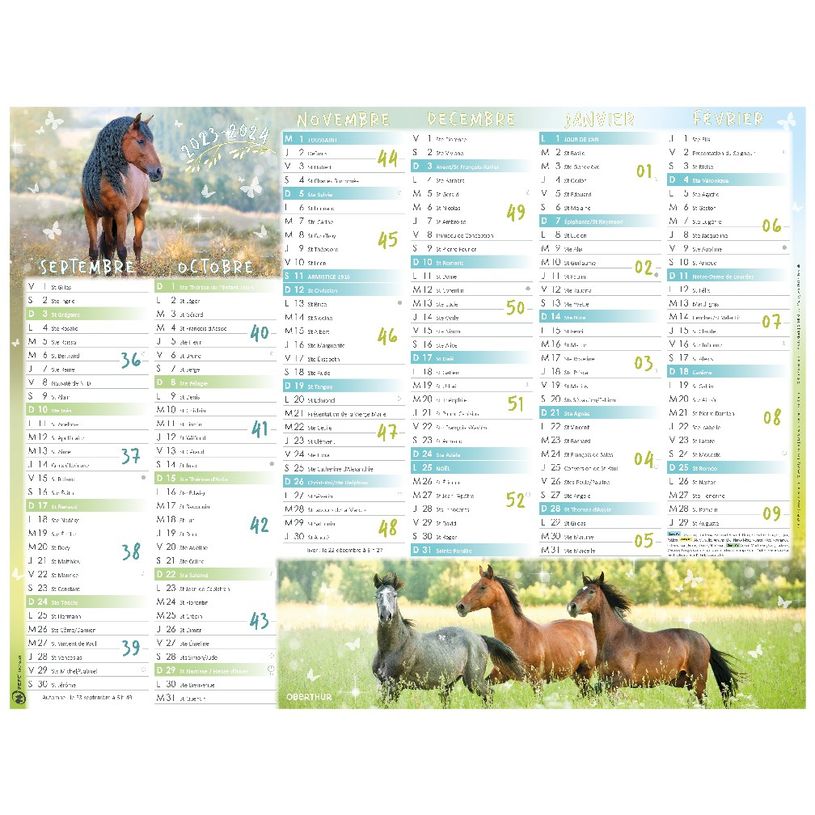 3664447138558-Calendrier Cheval - 7 mois par face - 21 x 26,5 cm - Oberthur-P_405132158_1-0