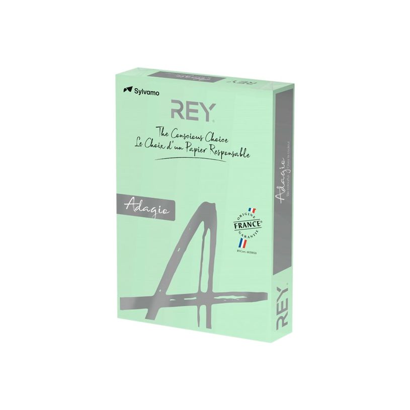 3368220134132-Rey Adagio - Papier couleur - A4 (210 x 297 mm) - 160 g/m² - Ramette de 250 feuilles - ve-P_405137812_1-0