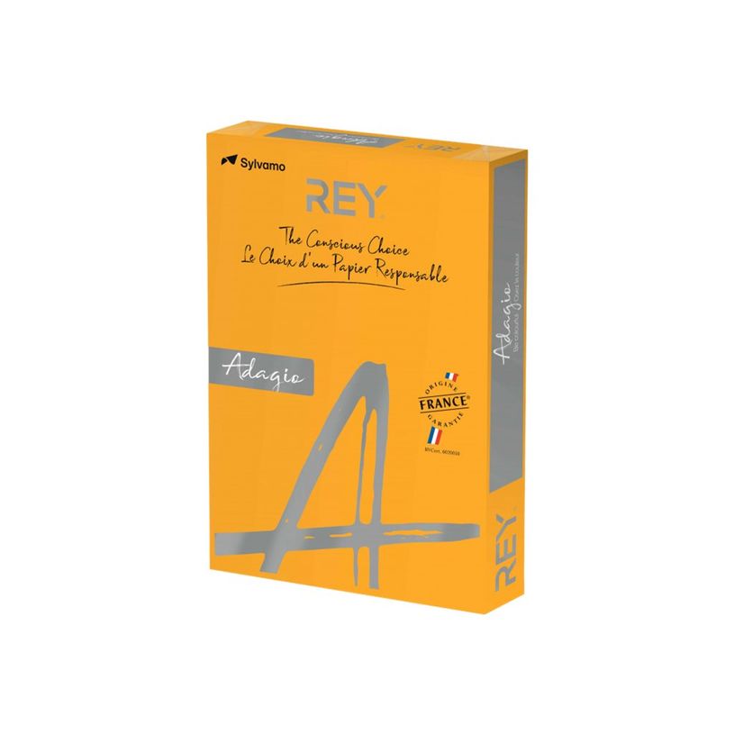 3141728711124-Rey Adagio - Papier couleur - A3 (297 x 420 mm) - 160 g/m² - Ramette de 250 feuilles - po-P_405137838_1-0