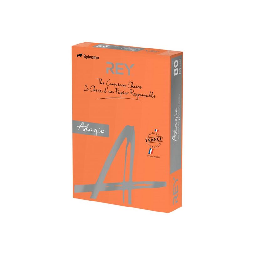 3368220089678-Rey Adagio - Papier couleur - A4 (210 x 297 mm) - 160 g/m² - Ramette de 250 feuilles - or-P_405137875_1-0