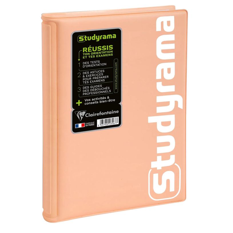 3037920235677-Agenda Studyrama Pastel - 1 jour par page - 14 x 20 cm - disponible dans différentes coul-P_405161263_5-4