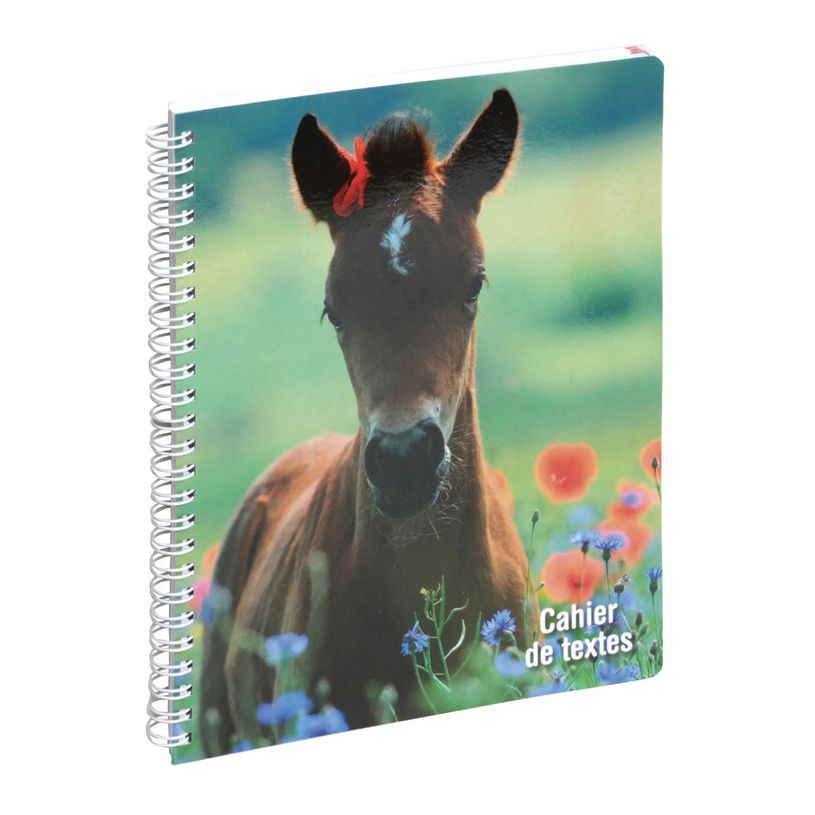 3660942084307-Cahier de textes à spirale Animaux - 17 x 22 cm - poulain - Exacompta-P_405161274_1-0