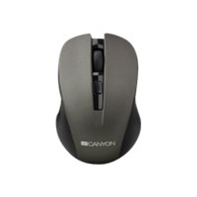 8717371865580-Canyon - Souris sans fil - gris-P_405162824_1-0