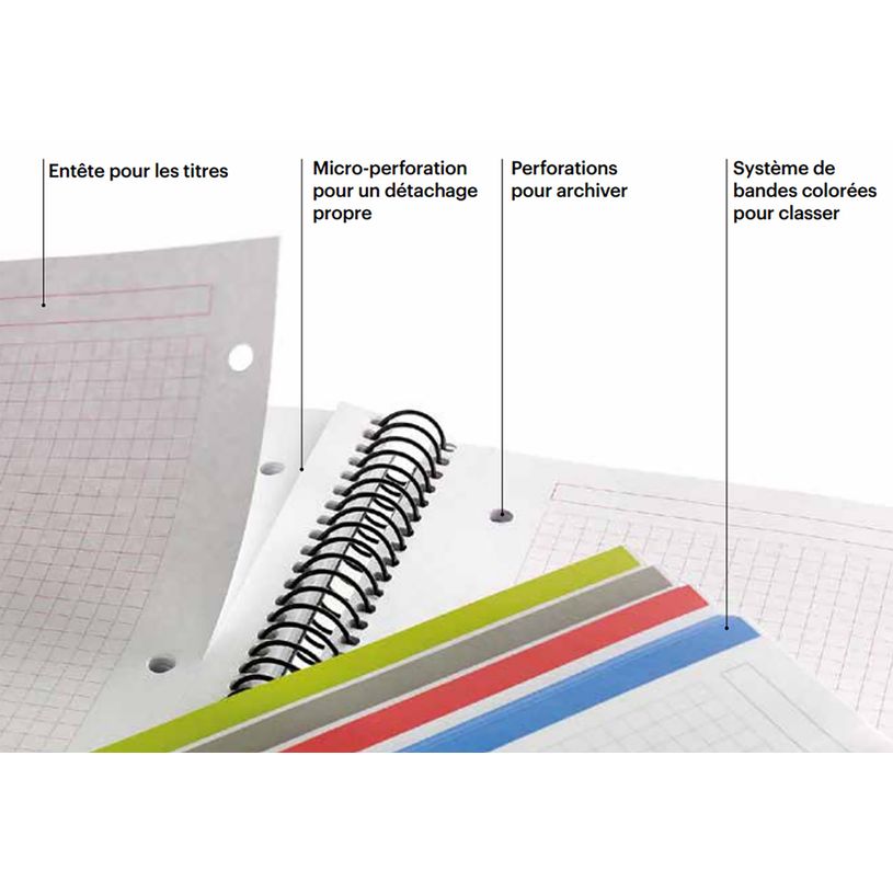 8422593485538-Notebook Emotions, couverture rigide, A4 lignes horizontales 7 mm 120 feuilles de 5 couleurs, Miquelriu--5