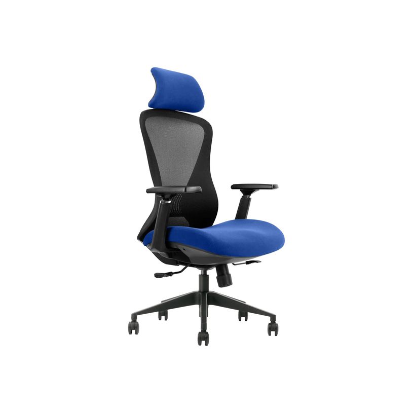 0404051891172-OfficePro Designer - Fauteuil de bureau - accoudoirs - noir, bleu-P_405189117_1-0
