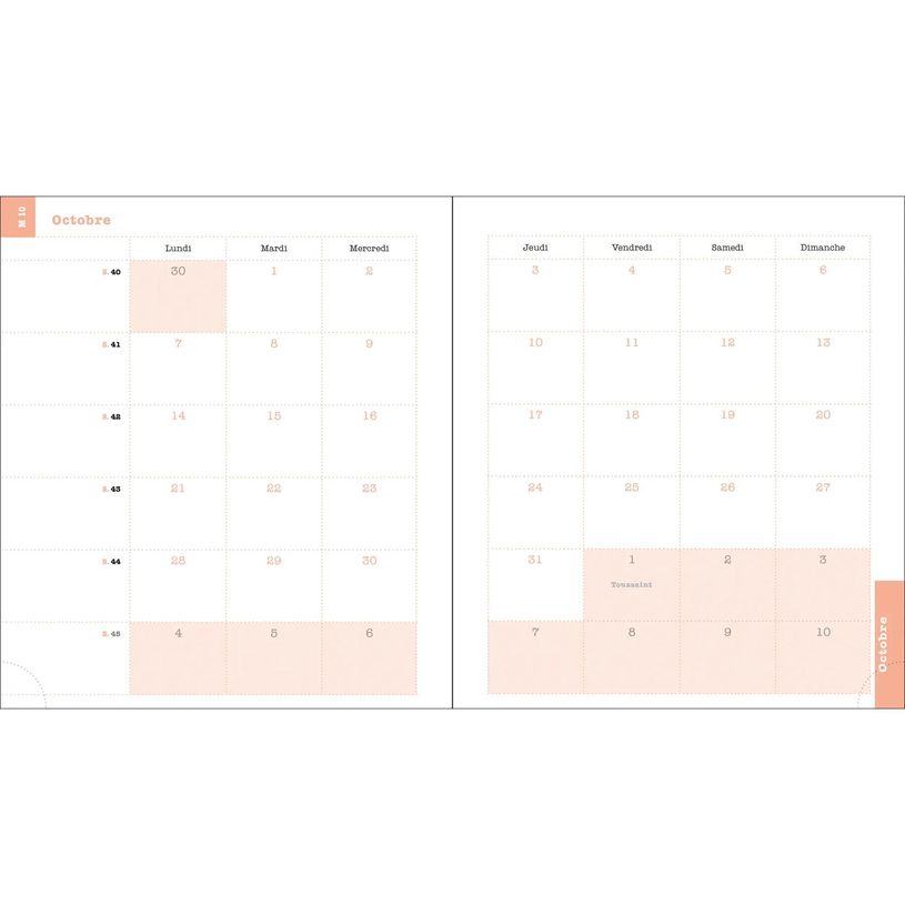 3660942087193-Agenda de bureau spiralé Color Design - 1 semaine sur 2 pages - 15 x 17 cm - oiseau - Exa-P_405228036_5-4