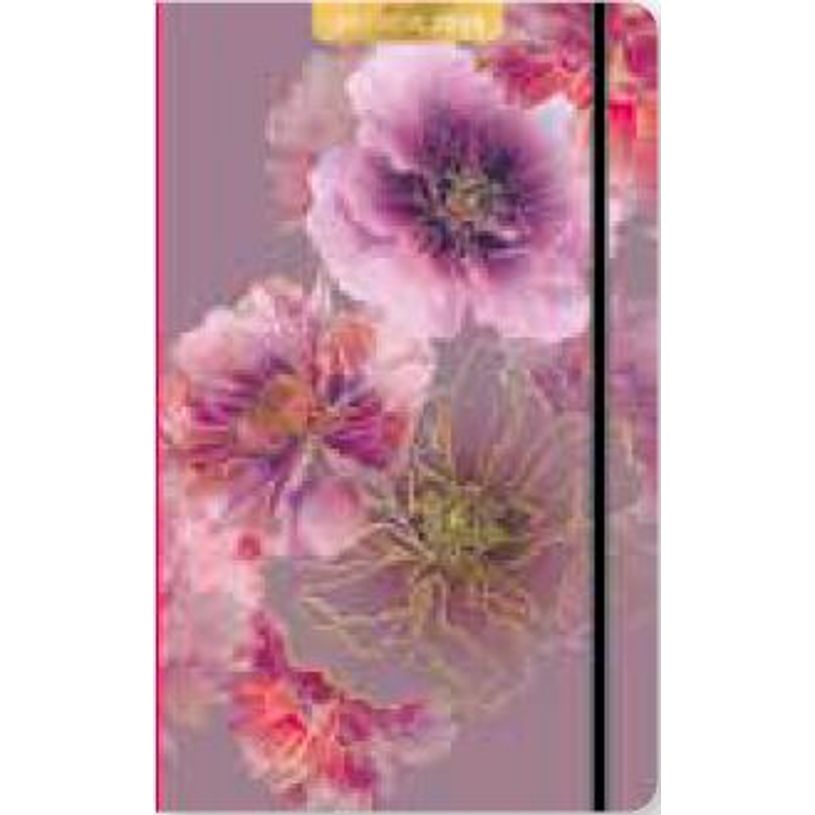 3494150175096-Agenda 13x21cm 12 mois Aquarupella -Lara Skinner --0