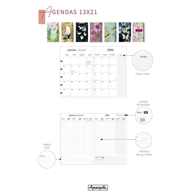 3494150175096-Agenda 13x21cm 12 mois Aquarupella -Lara Skinner --1