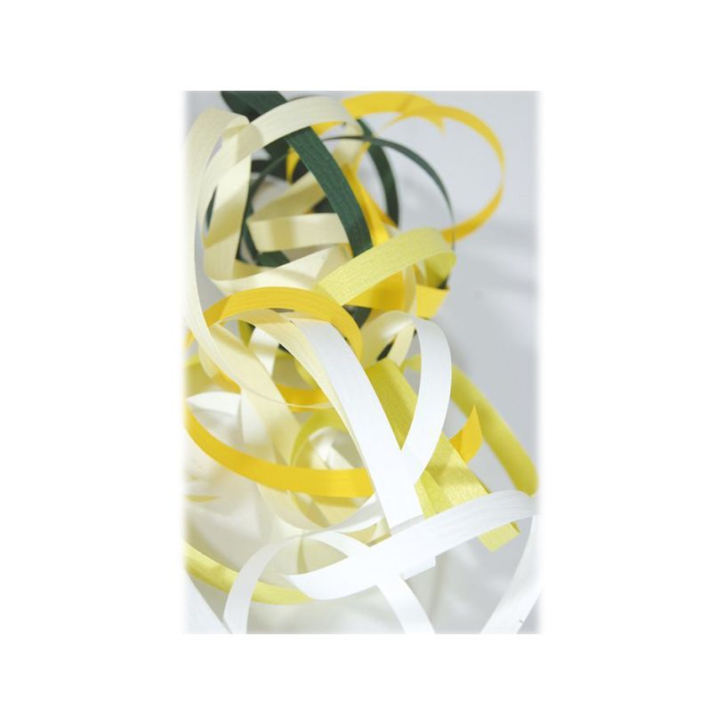 3065506015016-Maildor - Bolduc mat - ruban d'emballage 10 mm x 250 m - blanc-P_601501_3-2