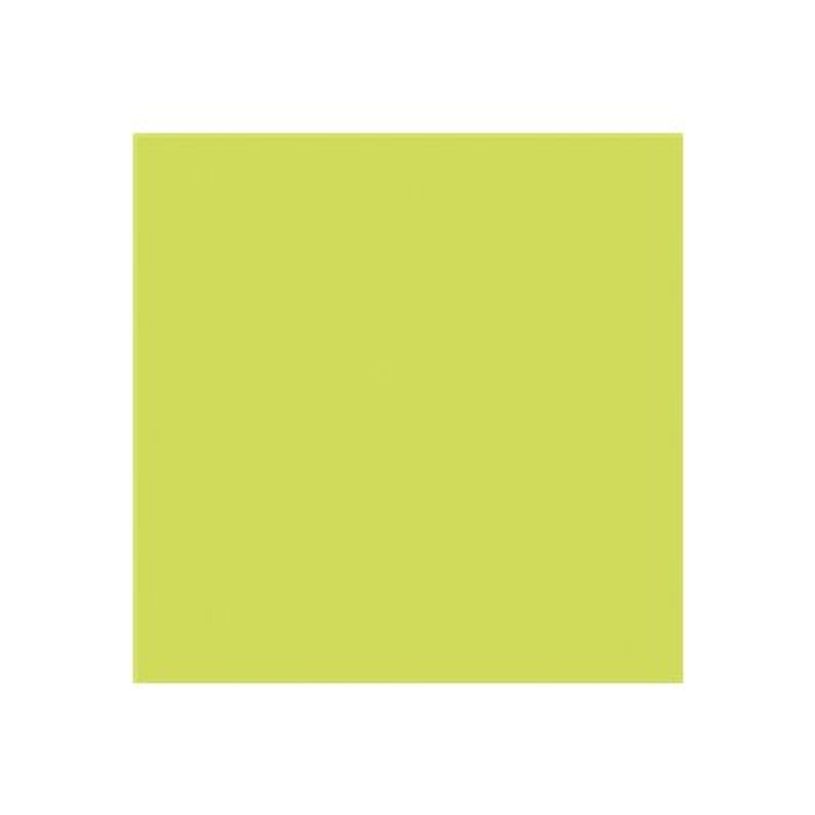 0400791467462-Pollen - 25 Cartes - 135 x 135 mm - 210 g/m² - vert bourgeon-P_79146746_1-0