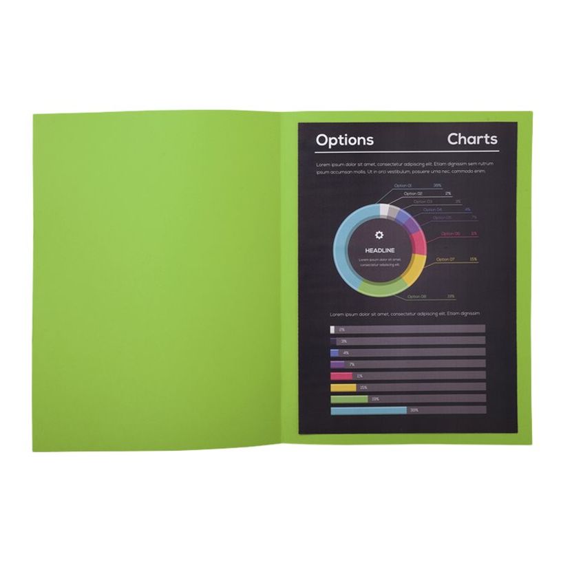 3288582171135-Exacompta Rock"s - 10 Chemises - 210 gr - menthe-P_79346074_4-2