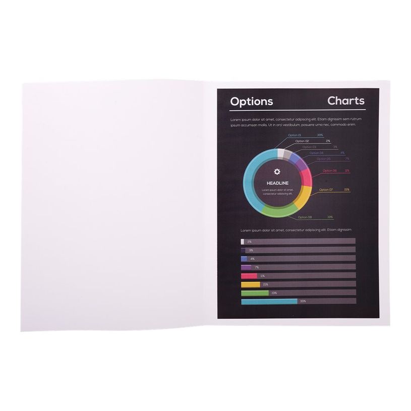 3130630217114-Exacompta Rock"s - 10 Chemises - 210 gr - pour 200 feuilles - blanc-P_79418831_2-0
