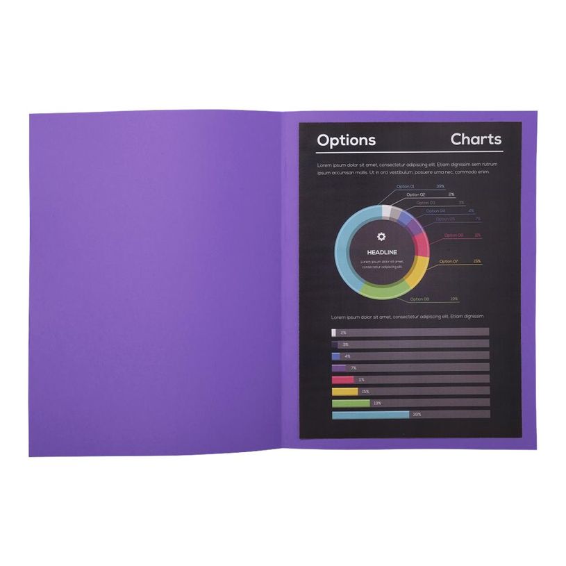 3288582171081-Exacompta Rock"s - 10 Chemises - 210 gr - pour 200 feuilles - violet foncé-P_79418834_4-3