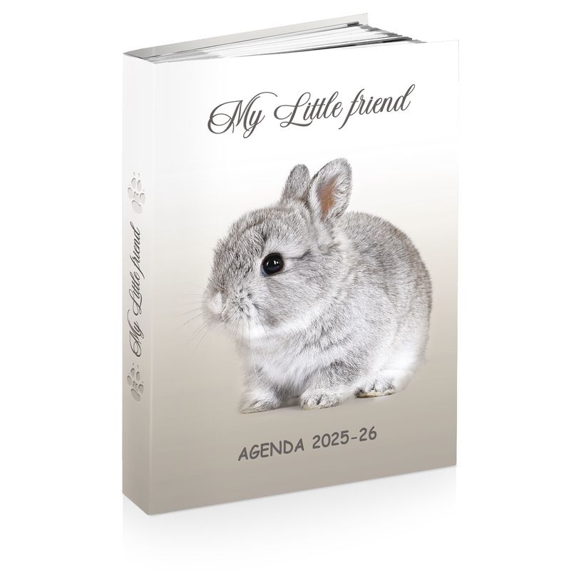 3661507015002-Agenda Baby Animaux - 1 jour par page - 12 x 17 cm - différents modèles disponibles - Kid-P_79436815_3-2