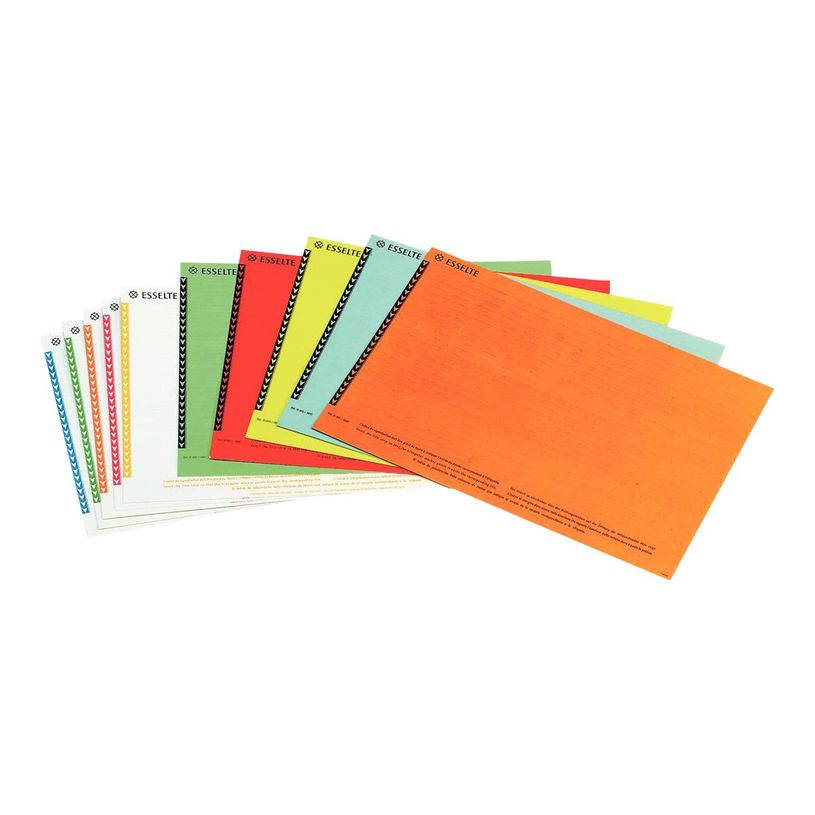 3249443258006-Esselte Orgarex - Insert de languette pour dossier - disponible en différents coloris-P_999991745_1-0