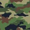 https://dxbyzx5id4chj.cloudfront.net/pub/media/catalog/attribute/product/couleur_ecriture/camouflage.jpg