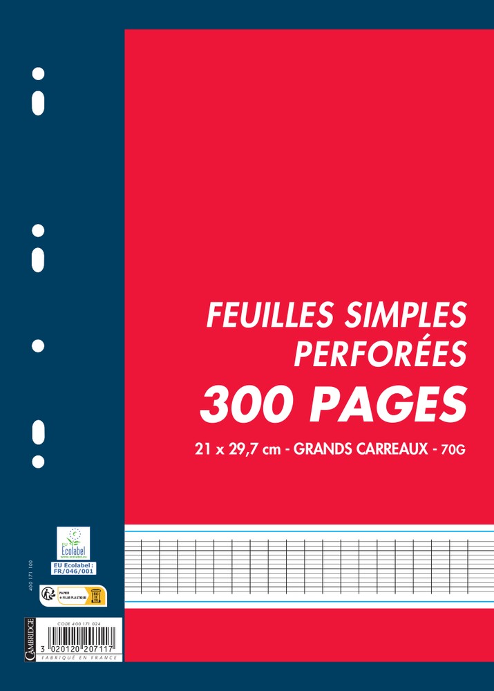 OXFORD Lot de 400 Pages Feuilles Simples Grands Carreaux Seyes Format A4  (21x29,7cm) Perforees, Blanches